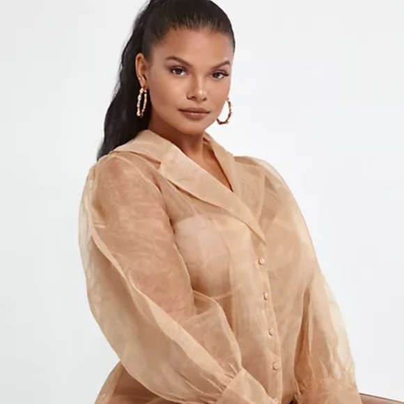 Fashion to Figure Tops - FTF Tan Marlo Organza Button-Down Shirt